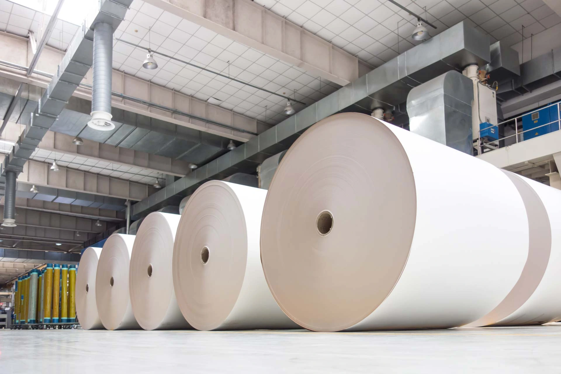 paperrolls